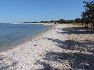 Apartments in Vodnjan - Istrien 38207 - 4