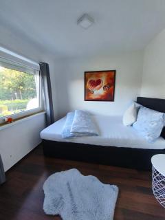 FeWo Goslar Harz - 1