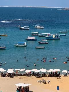 ميامي بحر مباشر خالد بن الوليد - Alexandria - 0