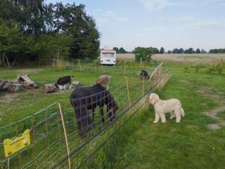 Eriba Troll aus 1972 - Sandau - 2