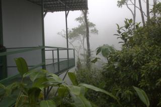 Wild House Río Celeste, Hotel and Trails - Rio Celeste - 6