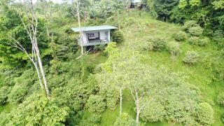 Wild House Río Celeste, Hotel and Trails - Rio Celeste - 9