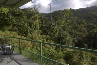 Wild House Río Celeste, Hotel and Trails - Rio Celeste - 4