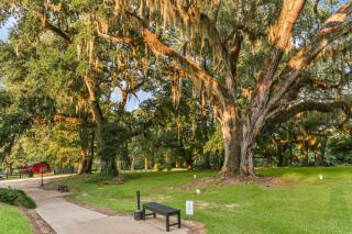 Greenwood Plantation B&B Inn - St. Francisville - 6