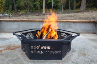 Chalet Aemmer - Edelweiss Village - Golden - 1