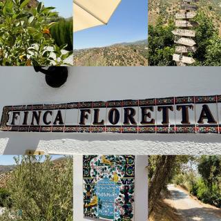 Finca Floretta - 9