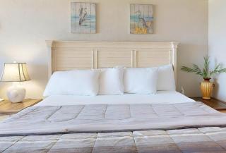 Oceanfront Serenity - 9