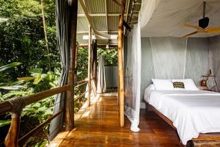 La Loma Jungle Lodge and Chocolate Farm - Bocas del Toro - 4