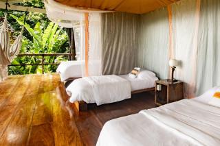 La Loma Jungle Lodge and Chocolate Farm - Bocas del Toro - 2