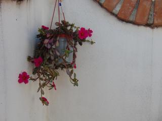Casa Regina - 2