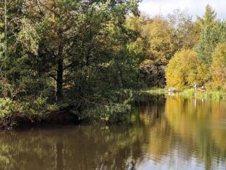 8 person holiday home in Oksbøl-By Traum - 4