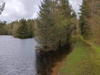 8 person holiday home in Oksbøl-By Traum - 5