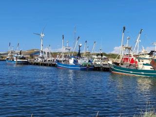 6 person holiday home in Ringkøbing - 1