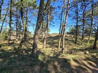 8 person holiday home in Rømø - Kongsmark - 6