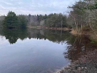 8 person holiday home in Oksbøl-By Traum - 3