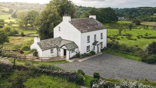 Green Yew - Windermere - 0