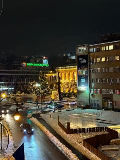 The Central Scene Apartment Sarajevo - Sarajevo - 7