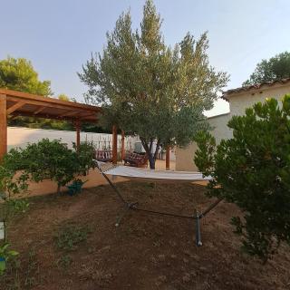 Buganvilla - Valencia - 7
