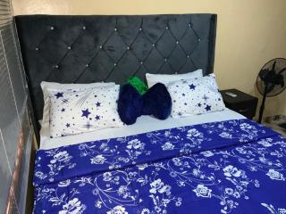 Charlies 2 Bedroom Apartment Ikeja - 3