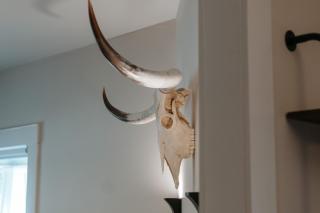 Luxe Farmhouse near Deep Ellum, Downtown & Bishop Arts - 3