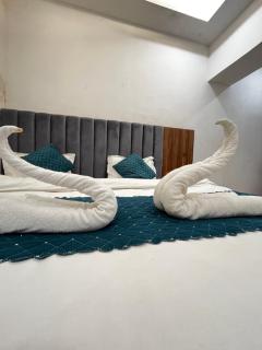 Ap shankar paying guest house - 5