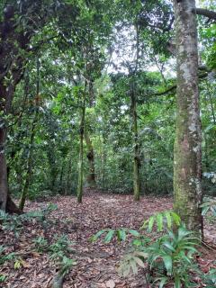 Studio com AR próximo ao estádio mangueirão - 1