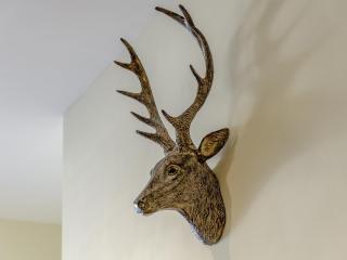 Hidden Winds Cottage - Guisborough - 4