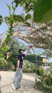 Ef farm - - 9