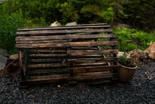 The Eyrie, your private Ocean View apartment - Head of Jeddore - 4