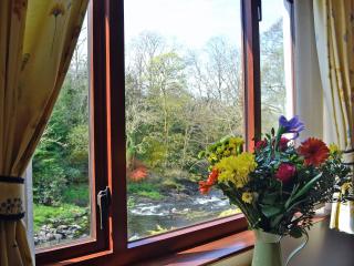 Waterwheel - Dalbeattie - 6