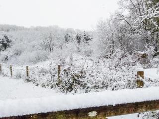 Olive Barn - Witheridge - 2