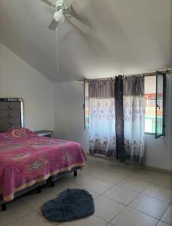 Habitacion sencilla en zona céntrica - San José de Otates - 0