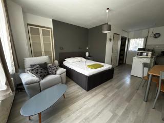 Studio central à La Roche-Posay avec WIFI - FR-1-541-180 - 0