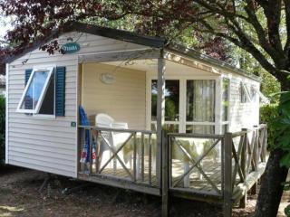 Mobil-home 6 personnes avec terrasse à Naucelle - API-1-52-415 - 9