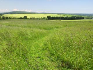 The Garden Apartment - Saint Columb Major - 1