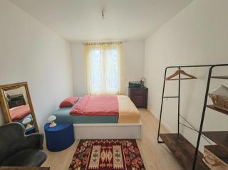 Chambres cozy à deux pas de Paris - 9