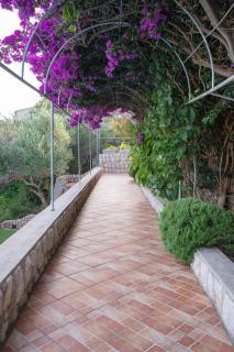 Apartments in Potocnica - Insel Pag 47657 - 4