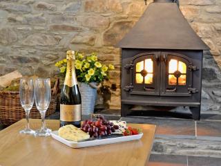 Golygfar Mynydd - Mountain View - Strata Florida - 6