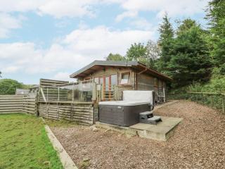 The Cabin - Garnant - 0