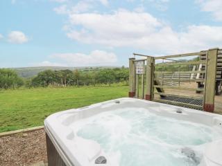 The Cabin - Garnant - 8