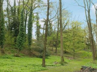 Hope Cottage - Lindale - 6