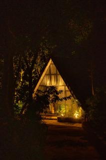 Sinharaja River Lodge - Nikawatawana - 8