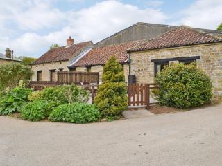 Jenny Spring - Sawdon - 0