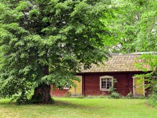 11 person holiday home in STORA SUNDBY - 7
