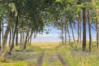 Cozy Holiday Home Close To The Beach - Thyholm - 8