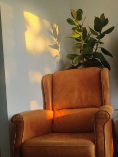 Designed Penthouse, Amsterdam city center - Amsterdam - 5