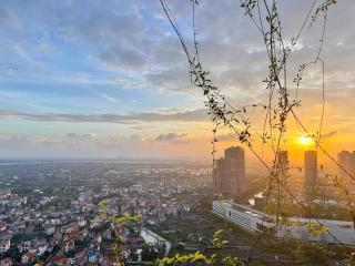 Ecopark Lushy Stay - Garden in the Cloud - 5