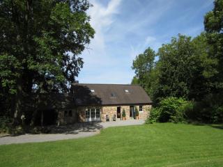 Spacious Wéris forest escape - Weris - 4