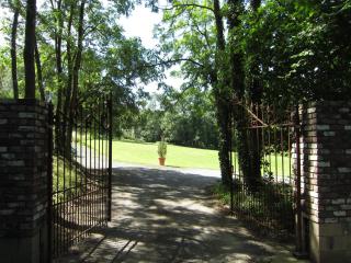 Spacious Wéris forest escape - Weris - 3