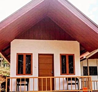 Vattavada Jungle Resort - Munnar - 8